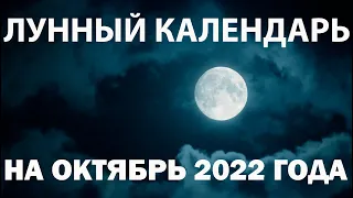 Лунный календарь на октябрь 2022 года, фазы луны, благоприятные дни, для стрижки, посадки цветов...
