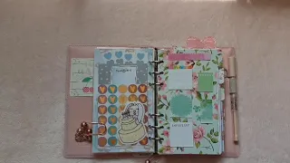 Filofax Domino Soft Flip Through | RachelBeautyPlans