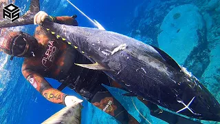 PESCASUB TONNO Gigante Pesca al Dentice Giant BLUEFIN TUNA SPEARFISHING 2024