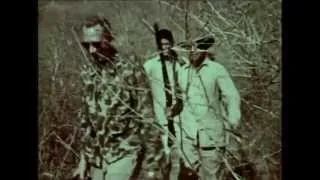 Rare Footage Tiger Hunting with Recurve Bow! From The Fred Bear Archive!