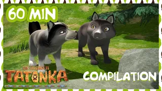 Tatonka en Français 🐺 Nouvelle Compilation 🐺 Dessins animés de loups