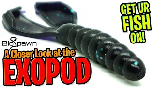 Closer Look at the BioSpawn Exopod Twin Tail Grub - Soft Plastic Bass