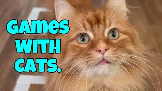 Games With Cats - Fail