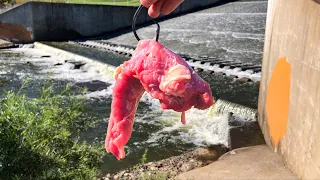 Almost SPOOLED By A MASSIVE SPILLWAY BEAST!!! (Biggest Of The Year!)