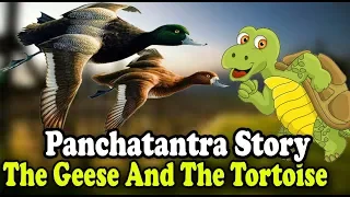 Tortoise and Geese Panchatantra English Stories For Kids