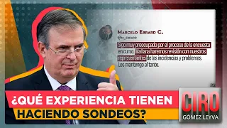 Estas son las empresas encargadas de levantar las encuestas que definirán candidato de Morena | Ciro