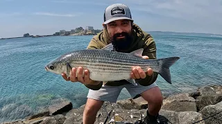 Huge Mullet Caught On A Float - Float Fishing For Mullet - Pier Fishing - Shore Fishing Uk