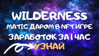 Matic даром в NFT игре Wilderness | Сколько я заработаю за час игры