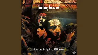 Late Night Blues CD2 (Continuous Mix)