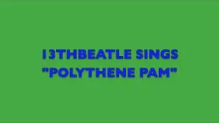 POLYTHENE PAM-BEATLES COVER