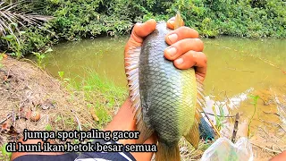 Wild anglers found spots inhabited by all the monster betok fish