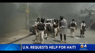 U.N. Calls For "Rapid Action Force" To Haiti