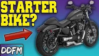 The Harley Sportster as a Starter Bike?