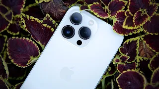 iPhone 13 PRO (Max): Malé krůčky za velkým úspěchem | Recenze