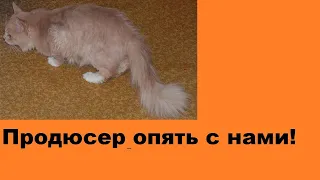 Продюсер опять с нами!