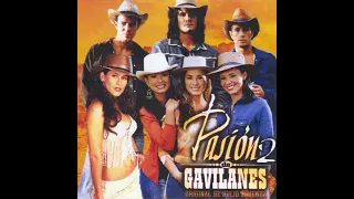 Pasión De Gavilanes - Solo Una Noche (Audio)