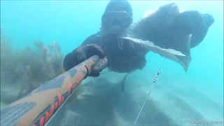 Подводная охота на кефаль Сочи 2019 пристрелка Goonch-90