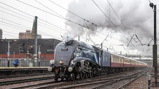 60007 Sir Nigel Gresley Speeds Along ECML!