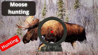 Moose hunting 2023 - 10 Shooting scenes - hunting - hunting film