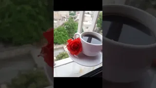 صباح التفاؤل🌻