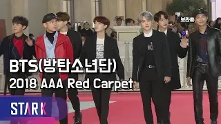 (BTS, 2018 AAA Red Carpet (방탄소년단, 비주얼 만렙소년단)