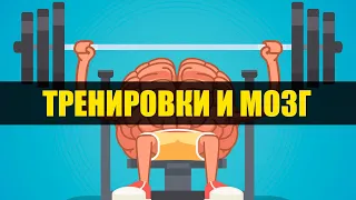 ВЛИЯНИЕ ТРЕНИРОВОК НА ТВОЙ МОЗГ. 5 ДОКАЗАННЫХ ФАКТОРОВ