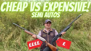 Cheap vs expensive semi auto