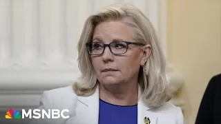 Liz Cheney urges the Supreme Court to stop aiding Donald Trump’s delay tactics