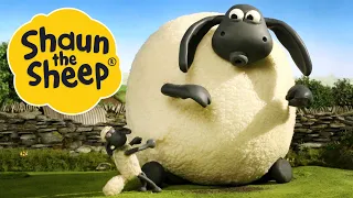 Supersize Timmy | Shaun the Sheep | S2 Full Episodes