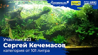 Травник 300 л. Участник №23 в категории от 101 литра #Scalariki​ Aquascaping Contest 2021