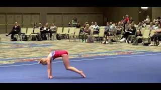 Level 2 Floor Routine 2021-2029