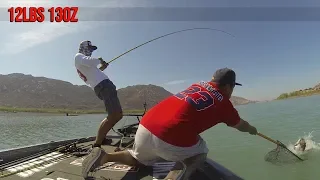 12lbs 13oz Largemouth Bass on a Huddleston Swimbait