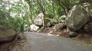 Cycling on La Digue, (4x speed) Seychelles, Anse Fourmi's, Grand Anse, Anse Source d'Argent