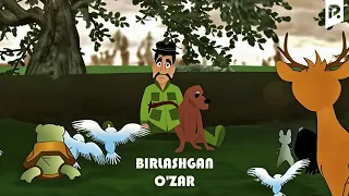 Birlashgan o'zar (multfilm) | Бирлашган узар (мультфильм) #UydaQoling