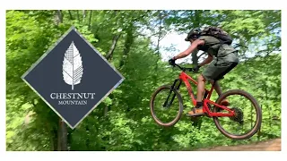 New Favorite Flow Trail in NC? - Chestnut Mountain and Berm Park - LADYBIRD and UNION Trail MTB
