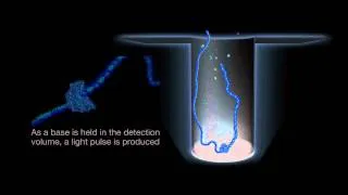 Introduction to SMRT Sequencing