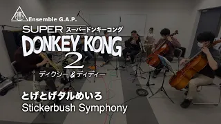 スーパードンキーコング2　とげとげタルめいろ / Donkey Kong Country 2　Stickerbush Symphony