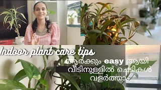 Indoor Plant Care In Malayalam/Tips For Healthy Houseplants/Houseplant Tips For Beginners