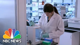 Pfizer Reports Promising Results In First Phase Of Vaccine Trial | NBC Nightly News
