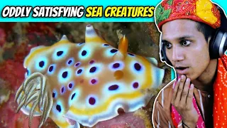 Villagers React To Amazing Sea Creatures ! Tribal People React To Oddly Satisfying Sea Animals