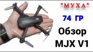 Обзор дрона-мелколета MJX V1 или просто мухи