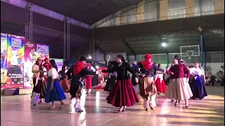 TIMBÓ en Paso de la Patria Provincia de Corrientes Argentina