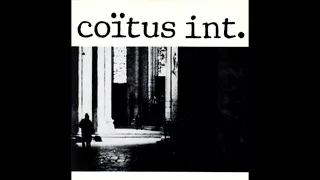 COITUS INT - My Ideal Man