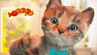 Fun Pet Care Kids Game - Little Kitten Adventures - Play Fun Costume Dress Up Party Game for Kids