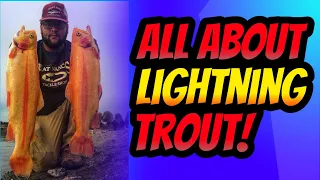 How To Catch Lightning Trout