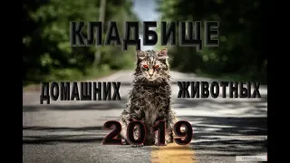 Кладбище домашних животных / Фильм ужасов 2019