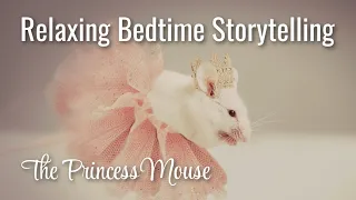 Relaxing Storytelling for Sleep / Nicely Spoken Bedtime Story of THE PRINCESS MOUSE