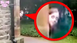 The Scariest Ghost Videos to Watch While Stuck Inside