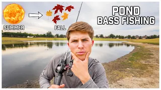 Does A FALL TRANSITION Exist In Ponds? (Fall Bass Fishing Tips)
