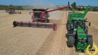 Weizenernte 2022 | Case IH Axial-Flow 8240 AFS | Hawe ULW 3000 | Agro Bördegrün